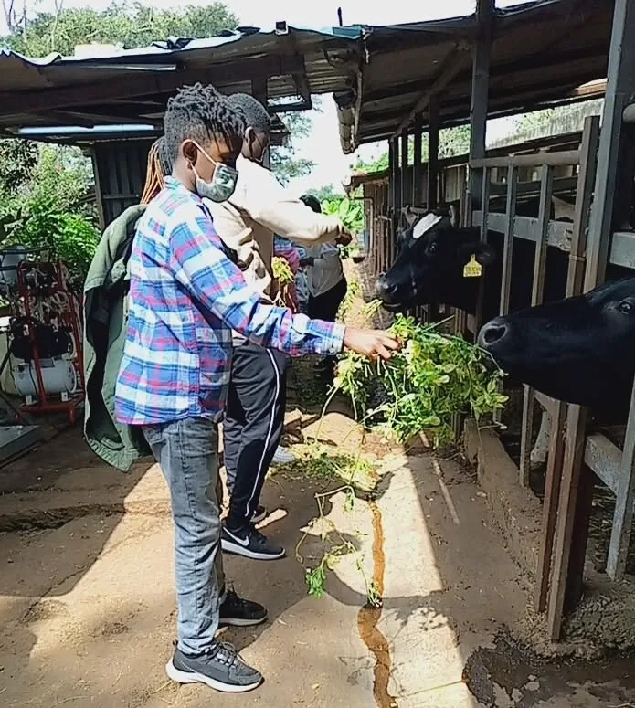 LifeHack student learning about livestock during an educational farm visit